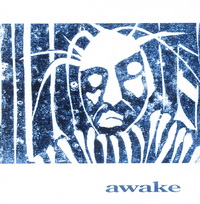 <br><b>Awake</b>