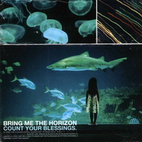 <br><b> Count Your Blessings </b>