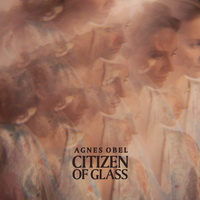 <br><b>Citizen Of Glass</b>