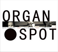 <br><b>Organ Spot </b>