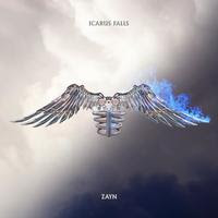 <br><b>Icarus Falls</b> <small> (2CD)</small>