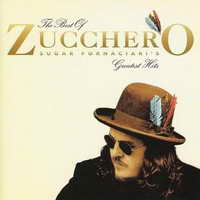 <br><b>The Best Of <br>Zucchero Sugar Fornaciaris <br>Greatest Hits</b>