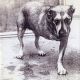 <br><b>Alice In Chains</b>
