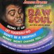 <br><b>James Brown Sings Raw Soul</b>