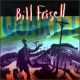 <br><b>Bill Frisell Quartet</b>