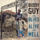 <br><b> the BLUES is ALIVE and WELL</b>