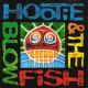 <br><b>Hootie & The Blowfish </b>