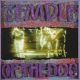 <br><b>Temple Of The Dog </b>