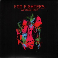 <br><b>Wasting Light </b>