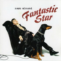 <br><b>Fantastic Star</b>