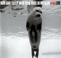 <br><b>How Can I Sleep With Your Voice In My Head<br><font color=red>  a-ha </font> LIVE</b>