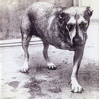 <br><b>Alice In Chains</b>