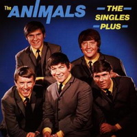 <br><b>The Single Plus</b>