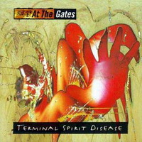 <br><b>Terminal Spirit Disease</b>