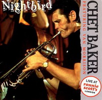 <br><b>Nightbird</b>