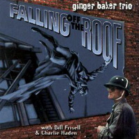 <br><b>Falling Off The Roof</b>