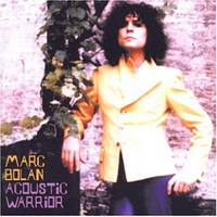 <br><b>Acoustic Warrior</b>