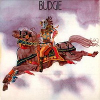 <br><b>Budgie</b>