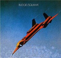 <br><b>Squawk</b>