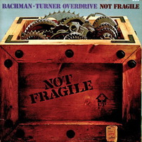 <br><b>Not Fragile</b>