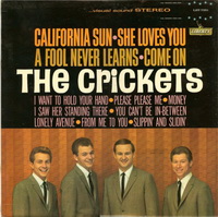 <br><b>California Sun - She Loves You </b>