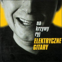 <br><b>Na krzywy ryj</b>