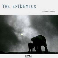 <br><b>The Epidemics</b>