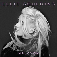 <br><b>Halcyon</b>