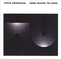 <br><b>Some Shapes To Come </b>