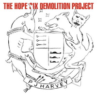 <br><b>The Hope Six Demolition Project</b>