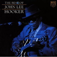 <br><b>The Best of John Lee Hooker</b>