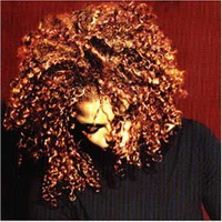 <br><b>The Velvet Rope</b>