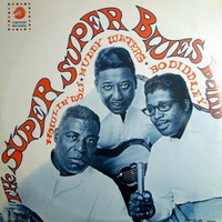 <br><b>The Super Super Blues Band</b>