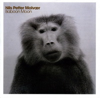 <br><b>Baboon Moon</b>