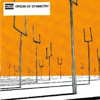 <br><b>Origin Of Symmetry </b>