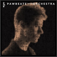 <br><b>Orchestra </b>