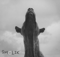 <br><b>Smolik 4</b>