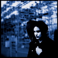 <br><b>Blunderbuss </b>