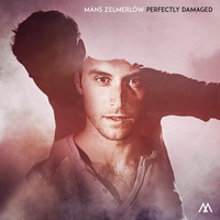 <br><b>Perfectly Damaged</b>