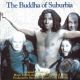 <br><b>The Buddha Of Suburbia </b><br><small>(soundtrack)</small>