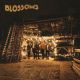 <br><b>Blossoms  </b>