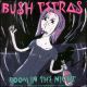 <br><b>Boom In The Night</b>