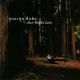 <br><b>Muir Woods Suite</b>