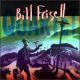 <br><b>Bill Frisell Quartet</b>