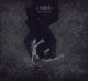 <br><b>Verba Volant</b>