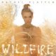 <br><b>Wildfire</b>