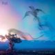 <br><b>Circling From Above</b>